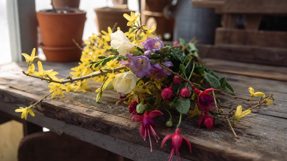 Fleurs qui commencent par la lettre F : liste et guide